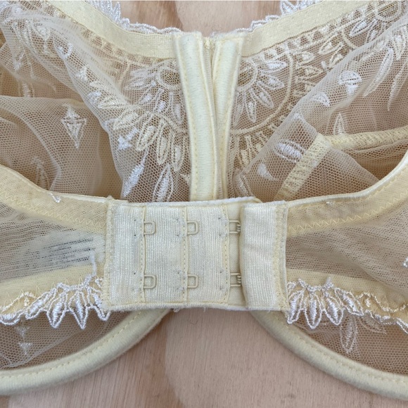 Chantelle "Africa" Seamed Mesh Underwire Bra - Picture 4 of 6